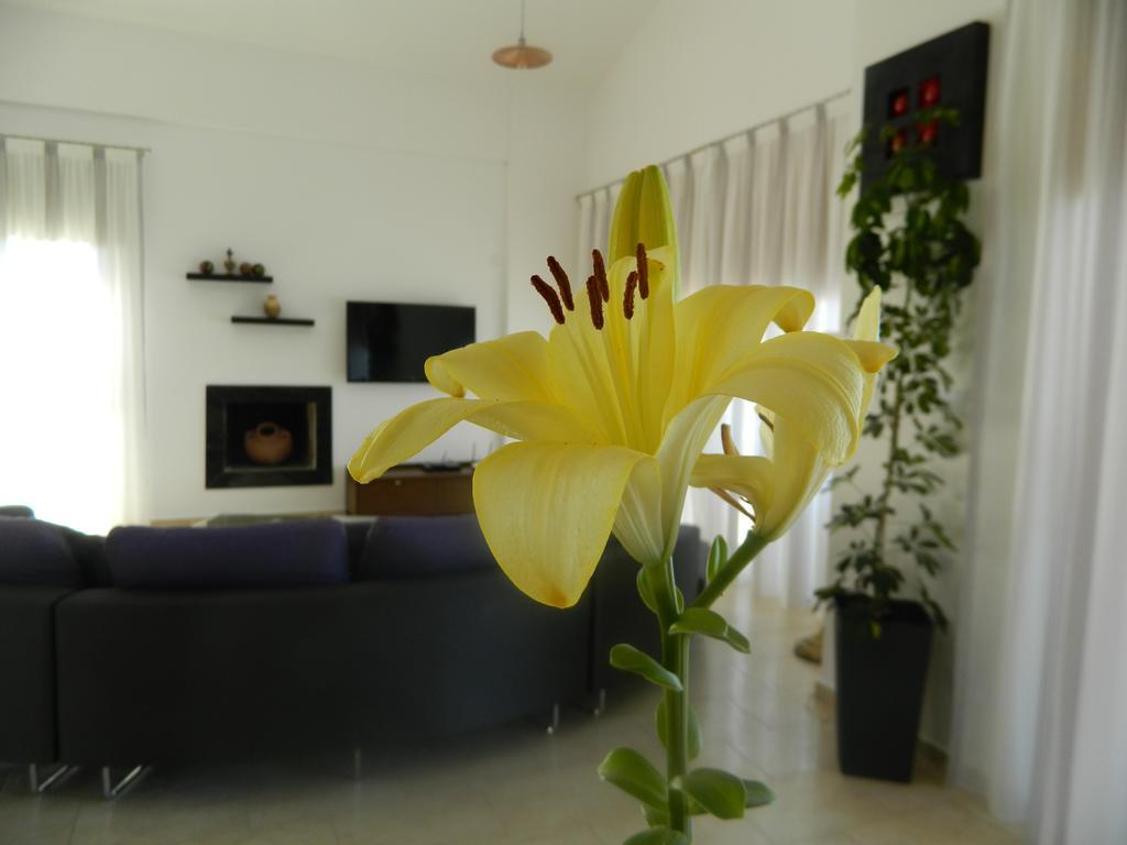 פאהיה Dionysos Villa מראה חיצוני תמונה